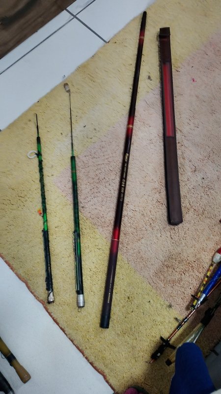 13 Varas de pesca 